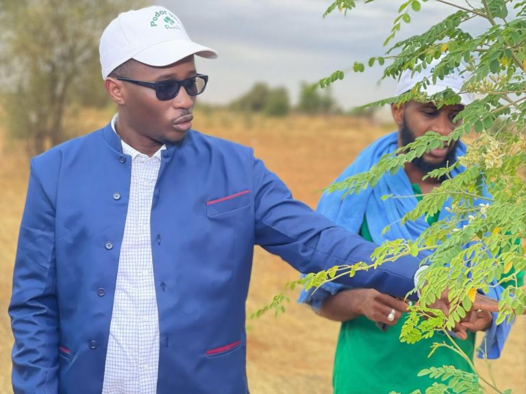 Bassirou-Hamedine-Sy-president-du-Mouvement-Podor-Vert