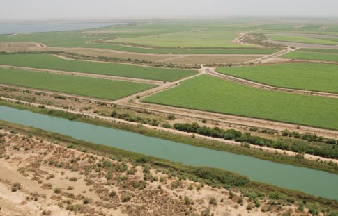 lac