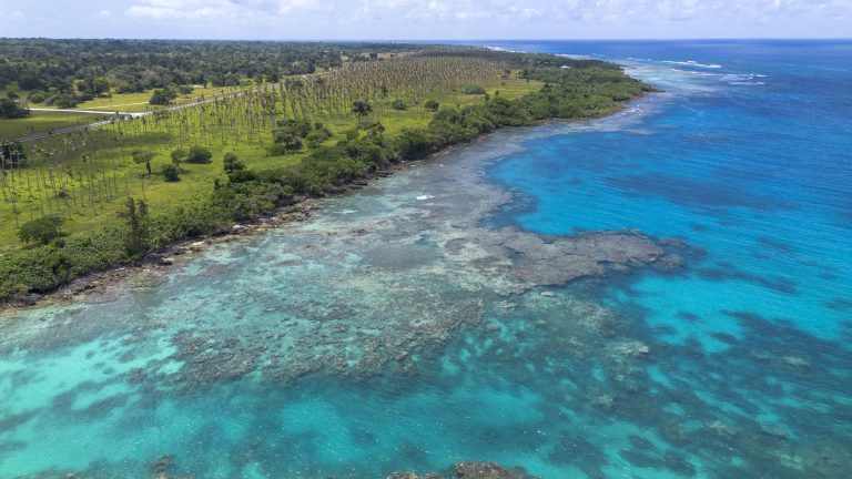 20251002_UNEP_Champs20225_CynthiaHouniuhi_Vanuatu_NataliaMroz__069_0