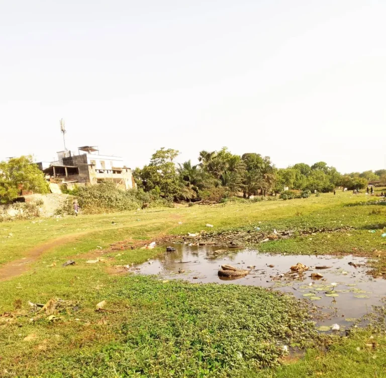 une-Fleuve-Casamance-3