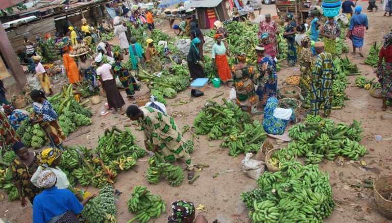 market_food_security_key_resources_spotlight_iita-996x567