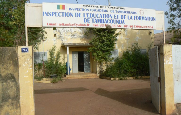IEF-TAMBA-900x570