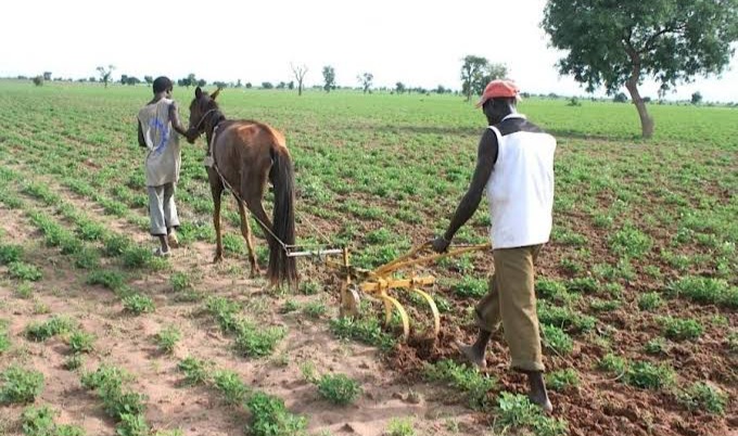 agriculteur