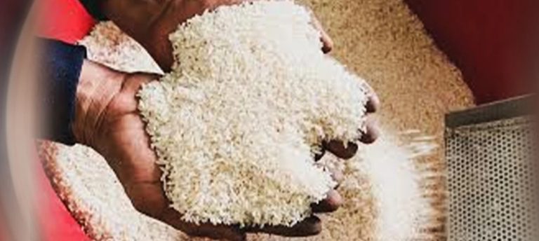 riz-blanc